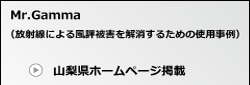 mr.gamma仕様 放射線表示機